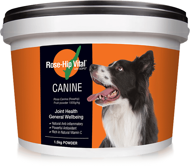 Rose-Hip Vital® Canine 1.5kg Bucket