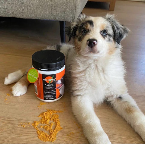 Rose-Hip Vital® Canine Cute Dog Powder Tub