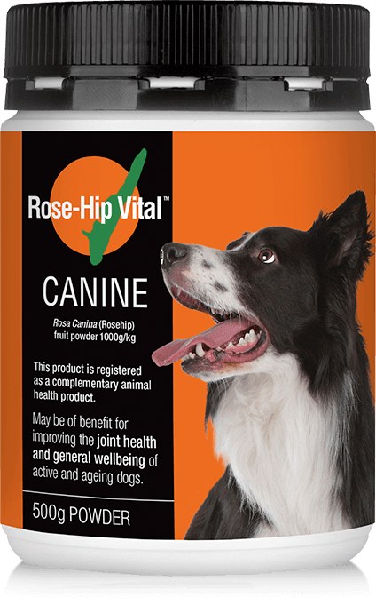 Rose Hip Vital Canine Powder 500g